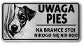 Tabliczka Uwaga pies Jack Russel Terrier 20x10