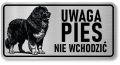 Uwaga pies tabliczka 20x10 Owczarek Kaukaski