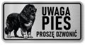Uwaga pies tabliczka 20x10 Owczarek Kaukaski