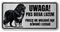 Uwaga pies tabliczka 20x10 Owczarek Kaukaski