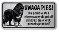 Uwaga pies tabliczka 20x10 Owczarek Kaukaski