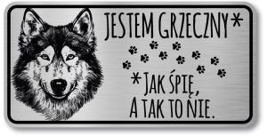 Tabliczka ostrzegawcza - Uwaga pies HUSKY śmieszna