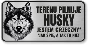 Tabliczka ostrzegawcza - Uwaga pies HUSKY śmieszna
