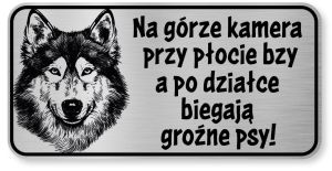 Tabliczka ostrzegawcza - Uwaga pies HUSKY śmieszna