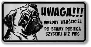 Tabliczka ostrzegawcza - Uwaga pies MOPS śmieszna