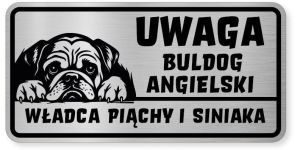 Uwaga pies tabliczka ostrzegawcza 20x10 Buldog Angielski