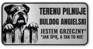 Uwaga pies tabliczka ostrzegawcza 20x10 Buldog Angielski