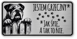Uwaga pies tabliczka ostrzegawcza 20x10 Buldog Angielski