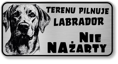 Uwaga pies tabliczka 20x10 Labrador