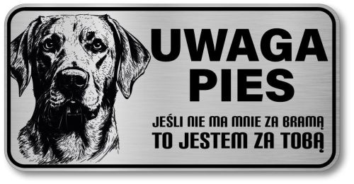 Uwaga pies tabliczka 20x10 Labrador