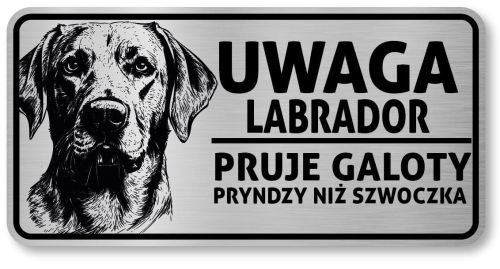 Uwaga pies tabliczka 20x10 Labrador