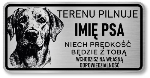 Uwaga pies tabliczka 20x10 Labrador