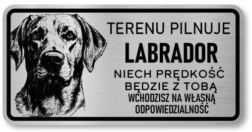 Uwaga pies tabliczka 20x10 Labrador