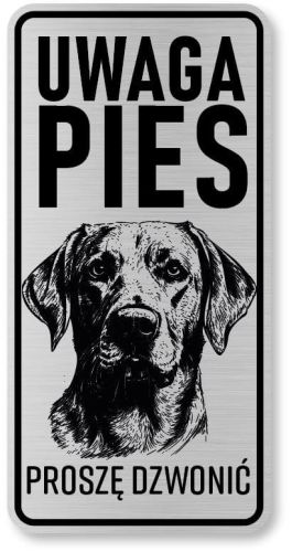 Uwaga pies tabliczka 20x10 Labrador