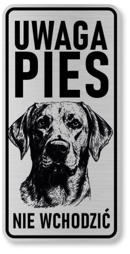 Uwaga pies tabliczka 20x10 Labrador