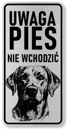 Uwaga pies tabliczka 20x10 Labrador