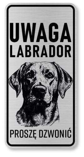 Uwaga pies tabliczka 20x10 Labrador
