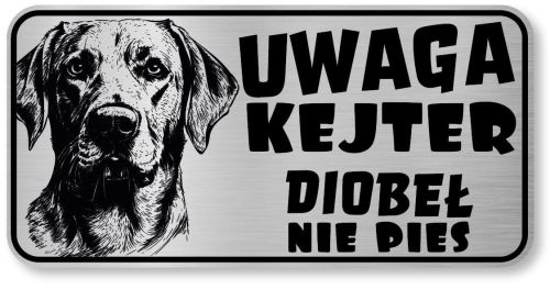 Uwaga pies tabliczka 20x10 Labrador