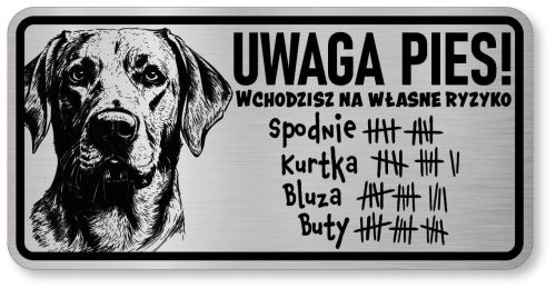 Uwaga pies tabliczka 20x10 Labrador