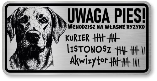 Uwaga pies tabliczka 20x10 Labrador