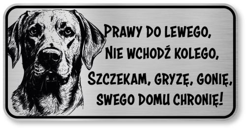 Uwaga pies tabliczka 20x10 Labrador