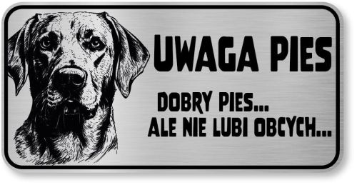 Uwaga pies tabliczka 20x10 Labrador