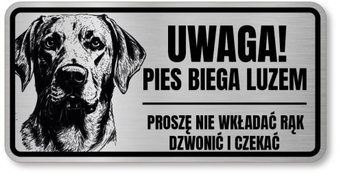 Uwaga pies tabliczka 20x10 Labrador