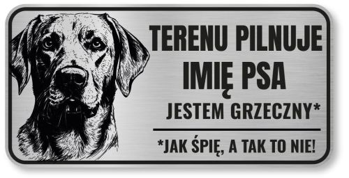 Uwaga pies tabliczka 20x10 Labrador