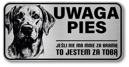 Uwaga pies tabliczka 20x10 Labrador
