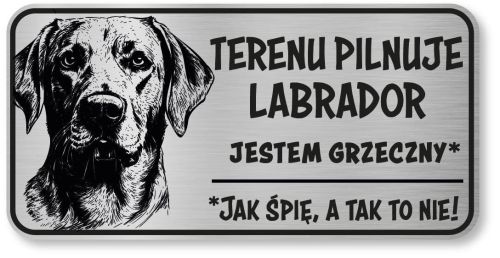 Uwaga pies tabliczka 20x10 Labrador