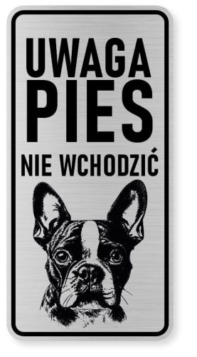 Uwaga pies tabliczka ostrzegawcza 10x20 Boston Terrier