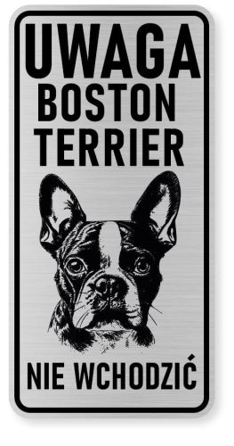 Uwaga pies tabliczka ostrzegawcza 10x20 Boston Terrier
