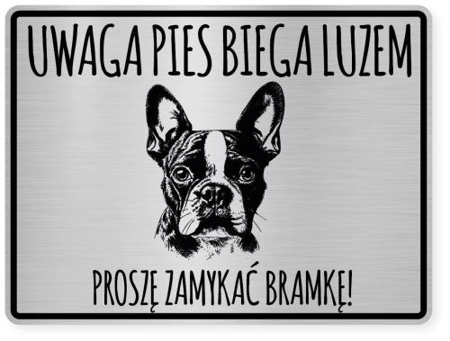 Uwaga pies tabliczka ostrzegawcza 20x15 Boston Terrier