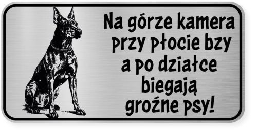 Uwaga pies tabliczka ostrzegawcza 20x10 Doberman