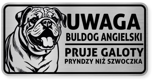 Uwaga pies tabliczka ostrzegawcza 20x10 Buldog Angielski
