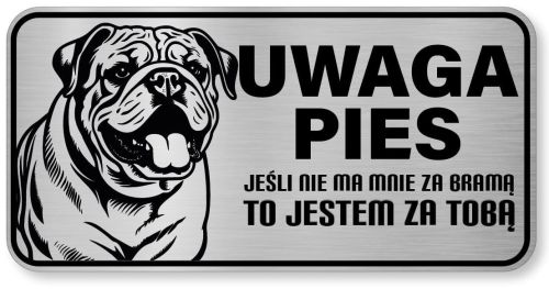 Uwaga pies tabliczka ostrzegawcza 20x10 Buldog Angielski