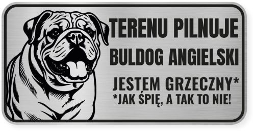 Uwaga pies tabliczka ostrzegawcza 20x10 Buldog Angielski