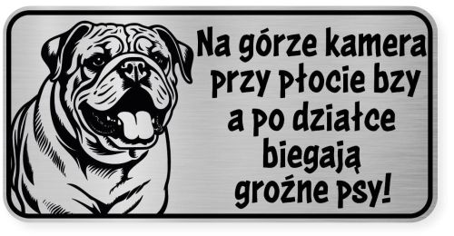 Uwaga pies tabliczka ostrzegawcza 20x10 Buldog Angielski