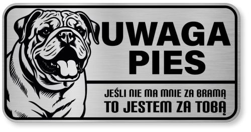 Uwaga pies tabliczka ostrzegawcza 20x10 Buldog Angielski