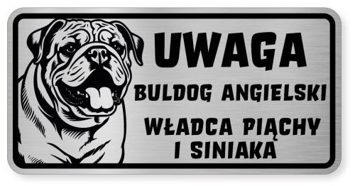 Uwaga pies tabliczka ostrzegawcza 20x10 Buldog Angielski