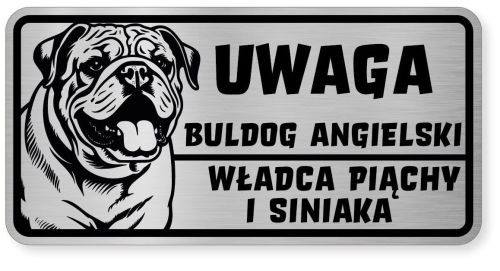 Uwaga pies tabliczka ostrzegawcza 20x10 Buldog Angielski
