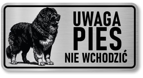 Uwaga pies tabliczka 20x10 Owczarek Kaukaski