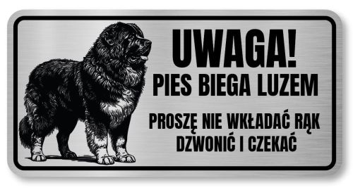 Uwaga pies tabliczka 20x10 Owczarek Kaukaski