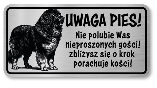 Uwaga pies tabliczka 20x10 Owczarek Kaukaski