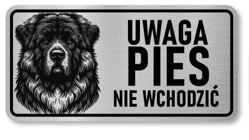 Uwaga pies tabliczka 20x10 Kaukaz