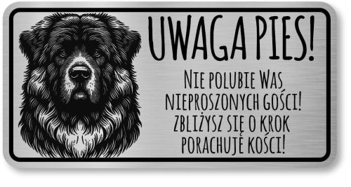 Uwaga pies tabliczka 20x10 Kaukaz