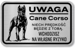 Tabliczka z Laminatu 20 x 12,5 Cane Corso wchodzisz na własne ryzyko 