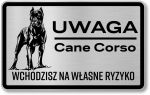 Tabliczka z Laminatu 20 x 12,5 Cane Corso Wchodzisz na własne ryzyko 