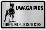 Tabliczka z Laminatu 20 x 12,5  Terenu pilnuje Cane Corso
