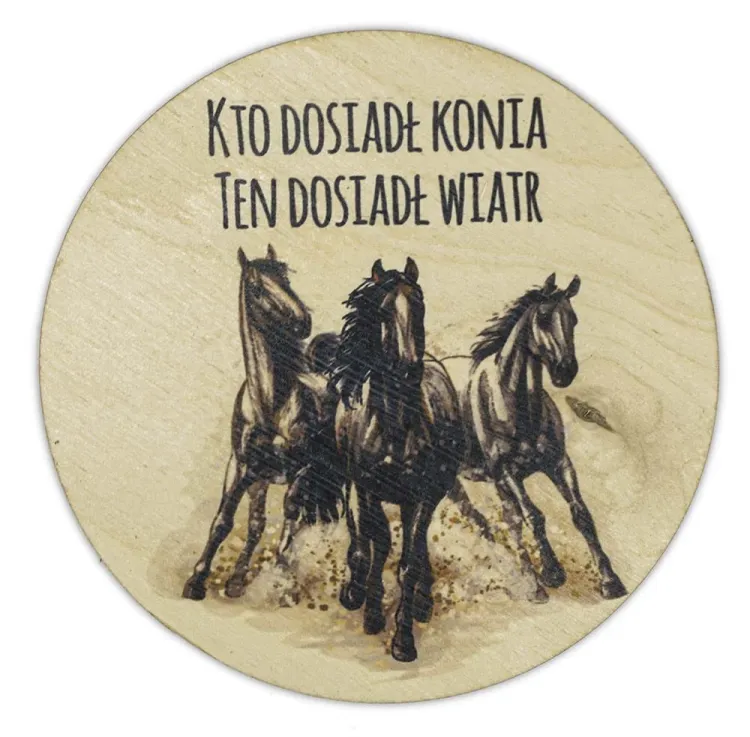 Magnes konie.jpg